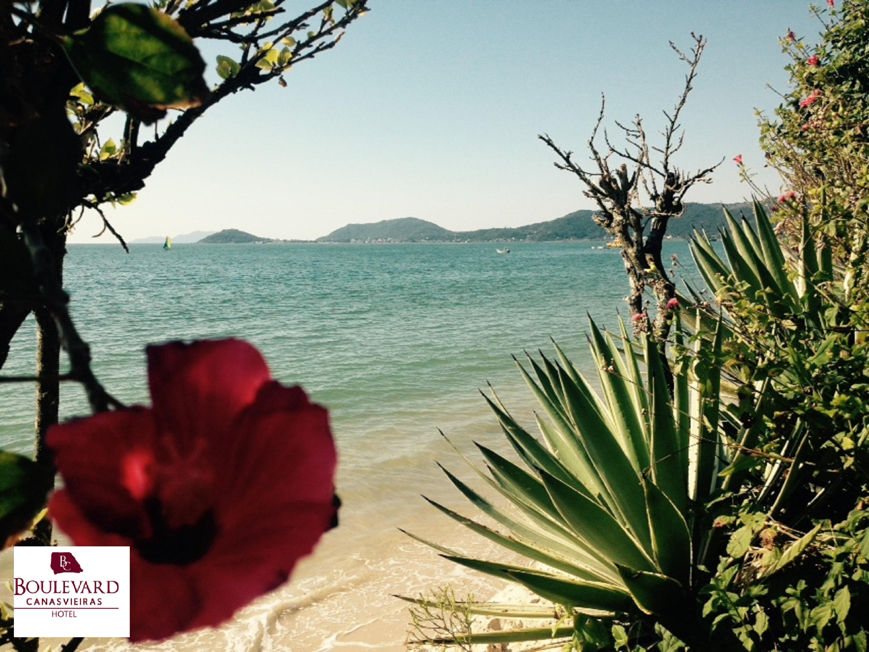 Boulevard Beach Canasvieiras Hotel Florianópolis Exterior foto